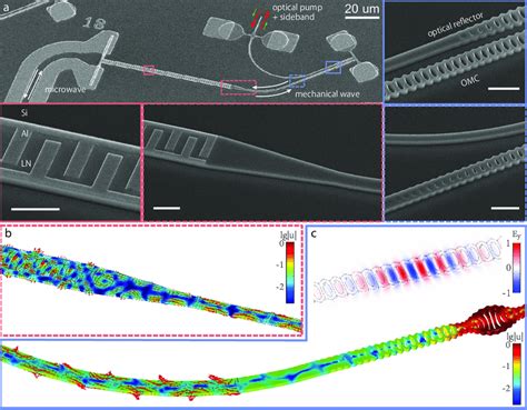 Lithium Niobate – Exploring its Piezoelectric and Optoelectronic Wonders!