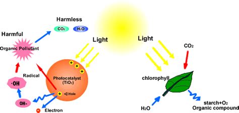  Titanium Dioxide Nanoparticles: Unleashing the Power of Photocatalysis for Sustainable Technologies!