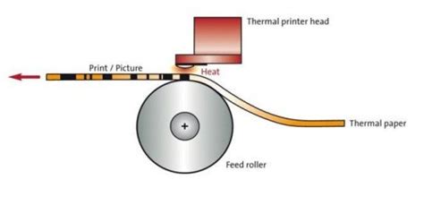 Does Thermal Printing Fade: A Journey Through Time and Ink