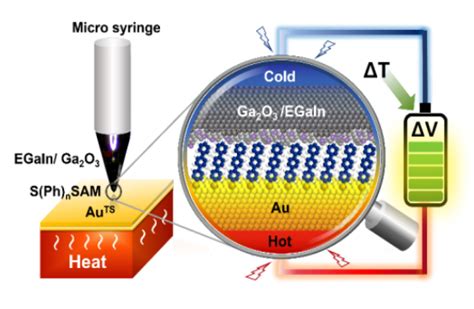 Eutectic Gallium-Indium: Revolutionizing High-Performance Thermoelectrics for Sustainable Cooling Technologies?