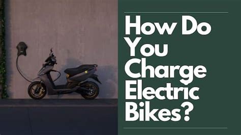 How Do You Charge an Electric Scooter: And Why Do Birds Suddenly Appear Every Time You Plug It In?