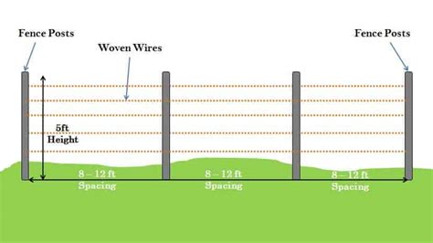 How Far Apart Should Electric Fence Posts Be: A Journey Through Space, Time, and Imagination