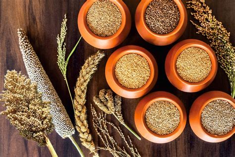  Millet: Unlocking the Ancient Grain's Potential for Sustainable Food Production and Biofuel Development