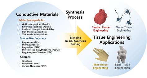 Resorbable Polymers for Sustainable Tissue Engineering Applications!