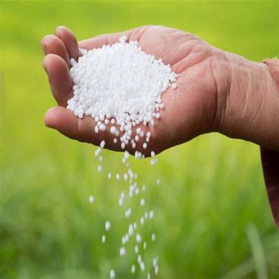  Urea: A Powerful Fertilizer and Industrial Workhorse!